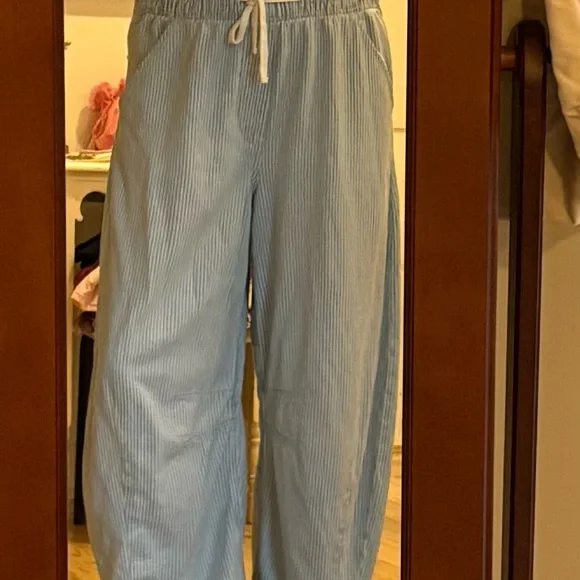 EUC GAP Pull On Barrel Light Blue Striped Pants - Picture 5 of 10